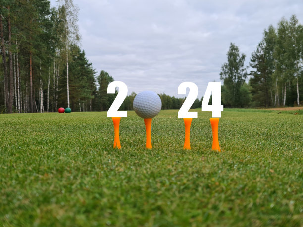 2024年高尔夫和新年数字与草地上的高尔夫球。图片下载