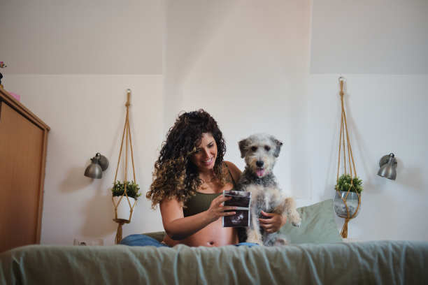 一张千禧一代快乐的孕妇微笑着和她可爱的狗狗坐在床上看婴儿怀孕超声波的一般照片图片下载