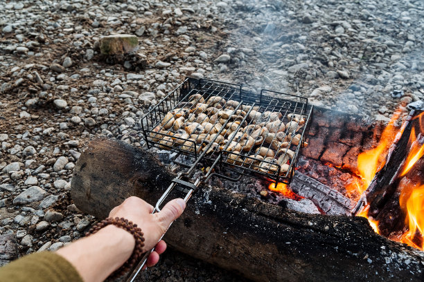 手里拿着烤架，煎蘑菇，火上烤的蘑菇，煤上做的菜，自然的食物图片下载