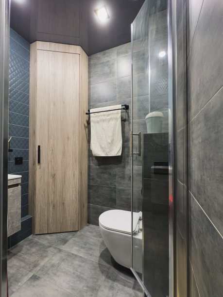 现代时尚时尚的室内卫生间，暗色图片下载