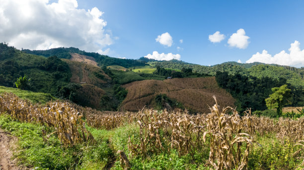 探险旅行照片，一个徒步旅行者在春天或秋天走在山上的草地上。徒步旅行图片下载