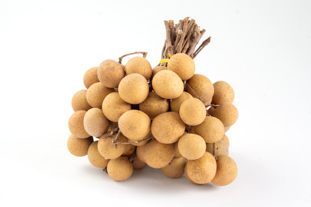 龙眼果，热带乔木，孤立于白色背景上。龙眼属水果，类似荔枝。龙眼树，原产于热带亚洲。泰国夏季的新鲜食物树图片下载