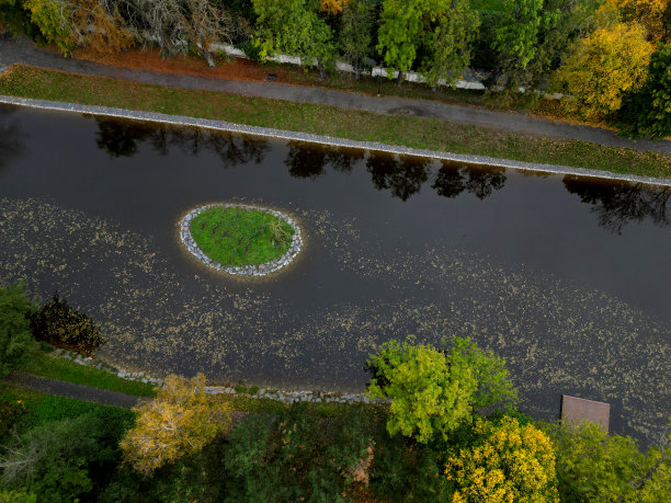 岛呈圆形椭圆形，岸边排列着石头。供水禽筑巢的池塘。古老的杂草丛生的半岛，由一个狭窄的地峡相连。老树干和干枯的树梢树枝，漂浮着，自行车道，圈图片下载