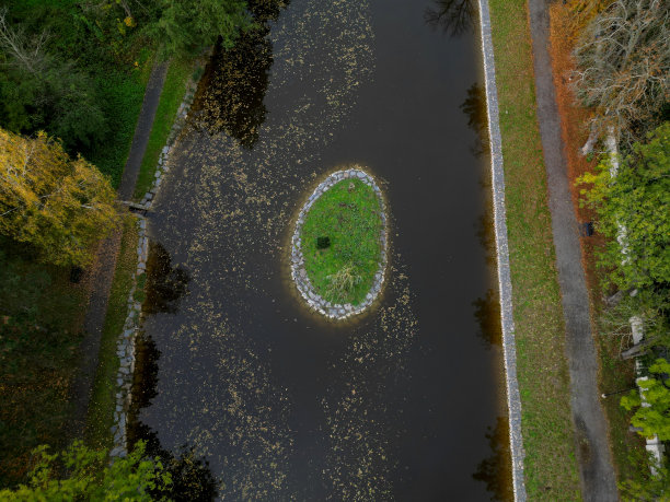 岛呈圆形椭圆形，岸边排列着石头。供水禽筑巢的池塘。古老的杂草丛生的半岛，由一个狭窄的地峡相连。老树干和干枯的树梢树枝，漂浮着，自行车道，圈图片下载