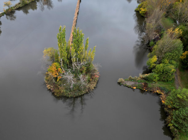 岛呈圆形椭圆形，岸边排列着石头。供水禽筑巢的池塘。古老的杂草丛生的半岛，由一个狭窄的地峡相连。老树干和干枯的树梢树枝，漂浮着，自行车道，圈图片下载