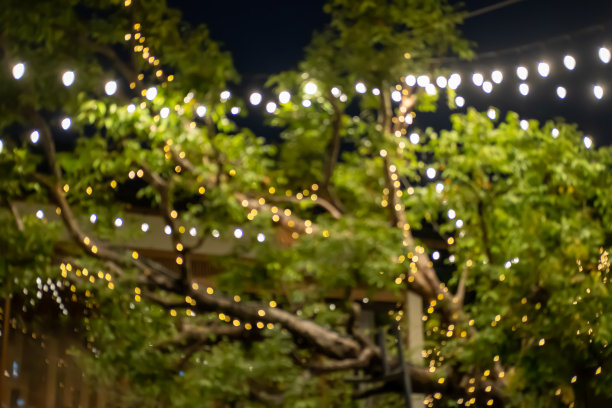 花园灯光的散景模糊图片下载