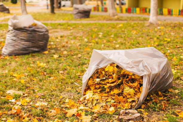 秋天的落叶。图片下载