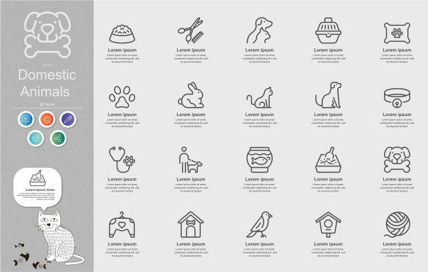 家畜线图标内容信息图图片下载