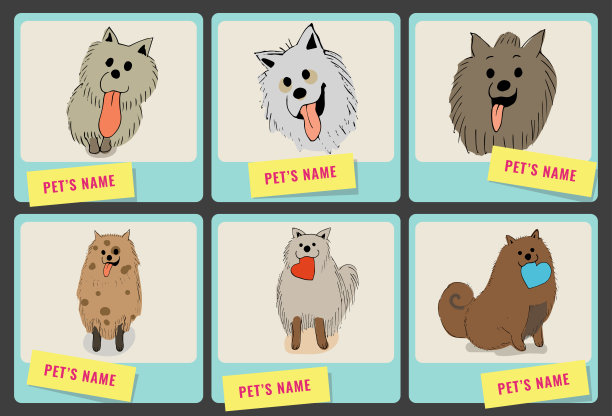 6张可爱的宠物图片-可爱的狗摆姿势拍照-可爱的狗涂鸦-宠物收养-选择-决定-决定-动物护理图片下载