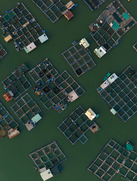 摘要航拍照片的浮筏牡蛎和海鲜养殖，龙山水产养殖筏村，巴里亚头省图片下载