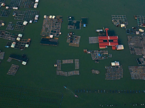 航拍照片的浮筏牡蛎和海鲜养殖，龙山水产养殖筏村，巴里翁头图片下载