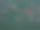 航拍照片的浮筏牡蛎和海鲜养殖，龙山水产养殖筏村，巴里翁头图片下载