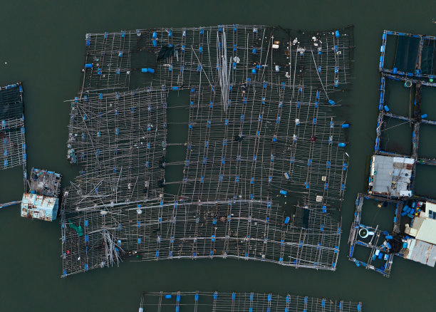 摘要航拍照片的浮筏牡蛎和海鲜养殖，龙山水产养殖筏村，巴里亚头省图片下载