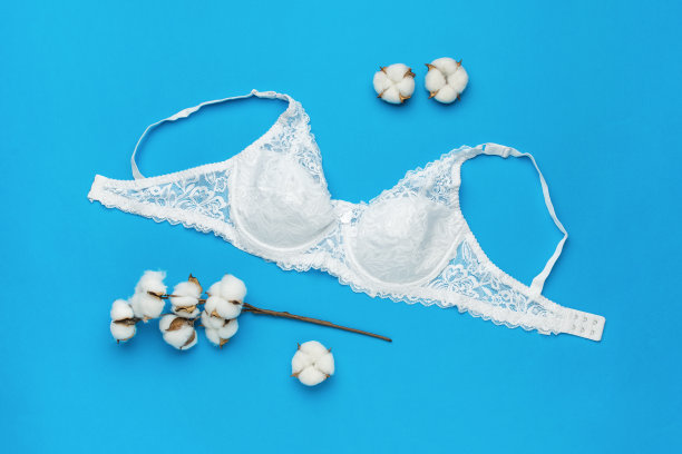 漂亮的白色胸罩和蓝色背景上的棉质小树枝。图片下载