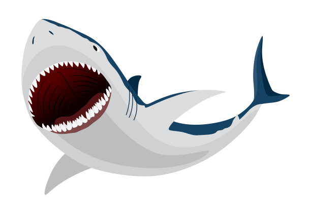 鲨鱼。海洋捕食鱼的性格。水下野生动物或海洋动物。卡通平面孤立图标在白色背景。矢量图图片下载