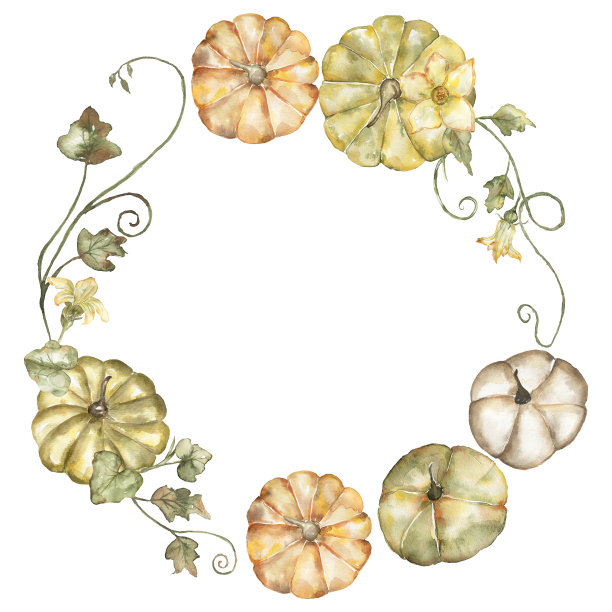 水彩南瓜，树叶和花环。秋天的花朵镶边插画，收获时节的构图图片下载