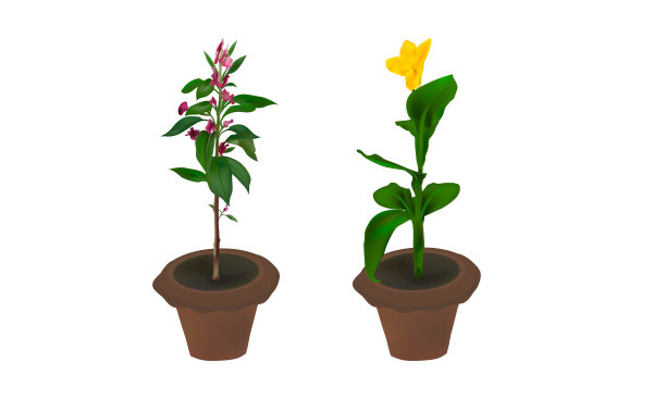 粉红色，黄色，红色的花和绿色的树设置在浴缸上，复古的风格，背景，装饰，水平，没有人，插图，叶子，自然，纺织品，设计，矢量，图片下载