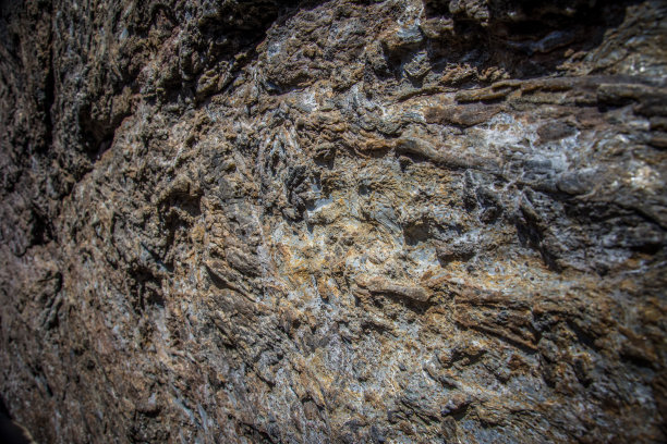 有圆形凸起的岩石图片下载