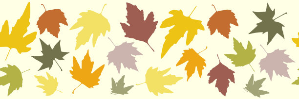 秋叶或梧桐树的背景图片下载