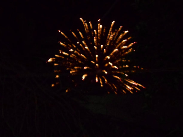 节日金色烟花图片下载