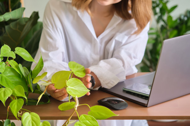 在绿色的背景下，女人的手在笔记本电脑前。图片下载