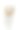 一张照片捕捉到了一条用抛光的波罗的海琥珀装饰的黑绳项链。琥珀的金棕色色调，与黑色绳索相衬，创造了一个简单而引人注目的配饰，融合了自然的优雅与现代的设计。图片下载