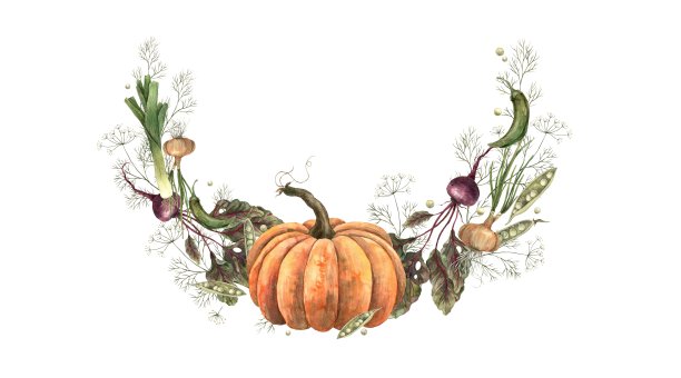 蔬菜水彩花环:南瓜、萝卜、番茄、茄子、番茄、豌豆、莳萝、胡萝卜、洋葱、土豆。白色背景的手绘构图，适合设计，菜单，食谱，卡片，海报图片下载