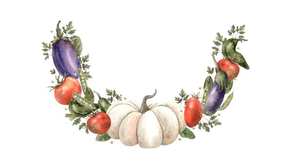 蔬菜水彩花环:南瓜、萝卜、番茄、茄子、番茄、豌豆、莳萝、胡萝卜、洋葱、土豆。白色背景的手绘构图，适合设计，菜单，食谱，卡片，海报图片下载