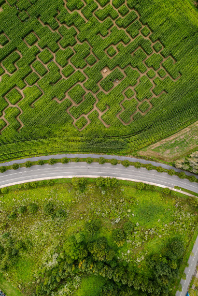 道路和迷宫图片下载