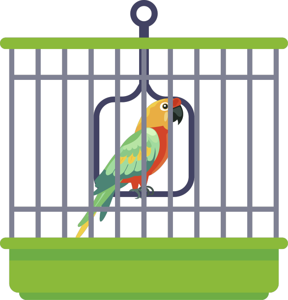 有凤头鹦鹉的铁笼子图片下载