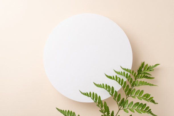 简约自然的设计理念。高角度的照片，空的圆形框架与蕨类树枝在孤立的白色背景与复制空间图片下载