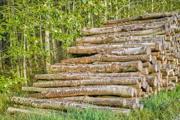 原木图片下载