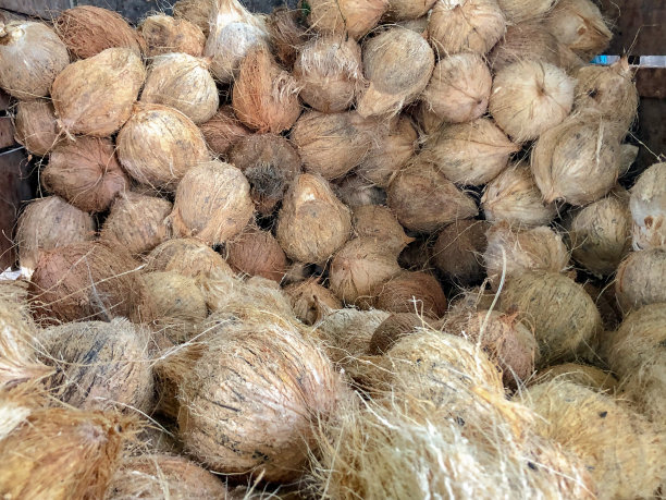 棕色椰子堆图片下载