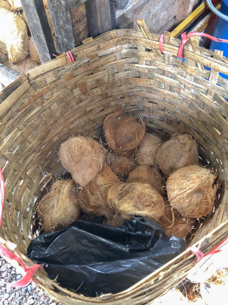 棕色椰子堆图片下载