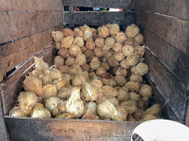 棕色椰子堆图片下载