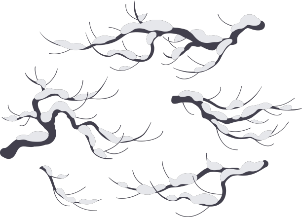 白雪覆盖的树枝孤立在白色上图片下载