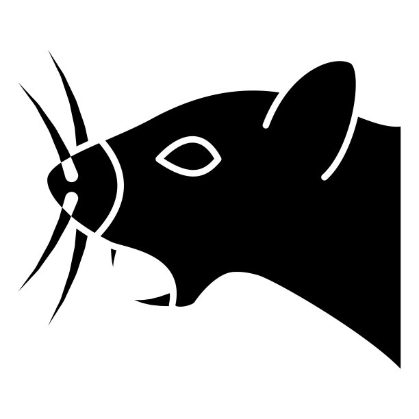 侵略在国内老鼠固体图标，疾病的宠物概念，白色背景的攻击性宠物标志，啮齿动物与侵略图标的风格和网络。矢量图形。图片下载