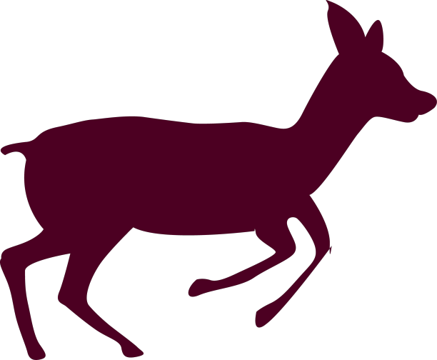 鹿跑序列1图片下载