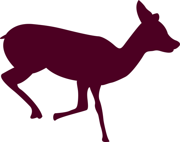 鹿跑序列5图片下载