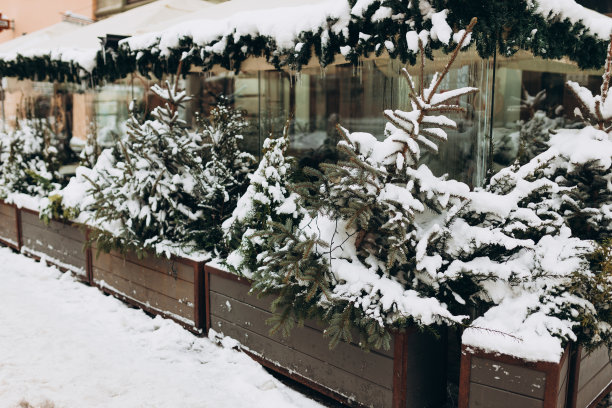 圣诞街道的装饰和城市里飘落的雪花图片下载