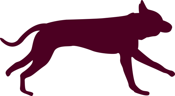 狗跑序列3图片下载