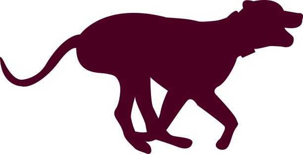 狗跑序列6图片下载