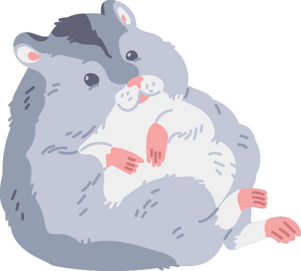 可爱的灰色胖仓鼠与白色的肚子有趣图片下载