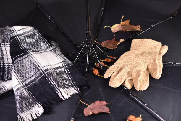 秋天。下雨了。雨伞、围巾和手套。图片下载