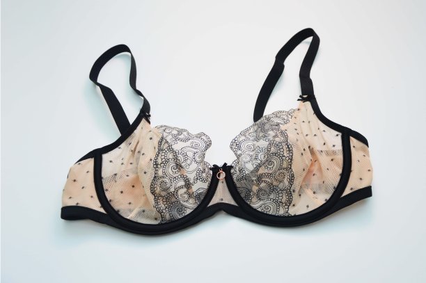 内衣。米色胸罩与黑色蕾丝在白色的背景。时尚美女内衣。图片下载