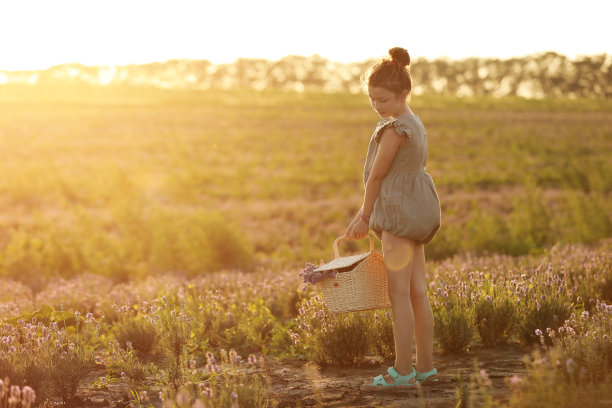 夏日夕阳下草地上可爱的小女孩。在薰衣草地里，孩子提着篮子。高质量照片图片下载