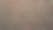 棕色硬珊瑚的细节。珊瑚礁水下生活的特写照片，完美的纹理或科学背景图片下载