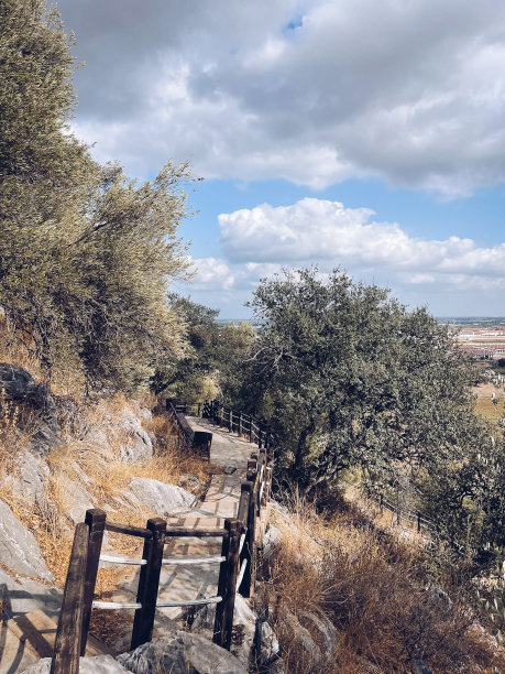 通往山的楼梯图片下载