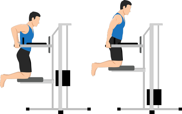男子在健身房的双杠上做俯卧撑图片下载
