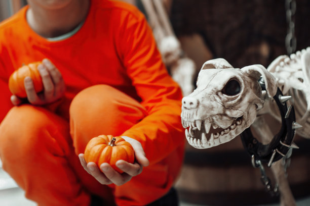 坦率的真实的十几岁的男孩的肖像画在装饰骷髅万圣节派对图片下载